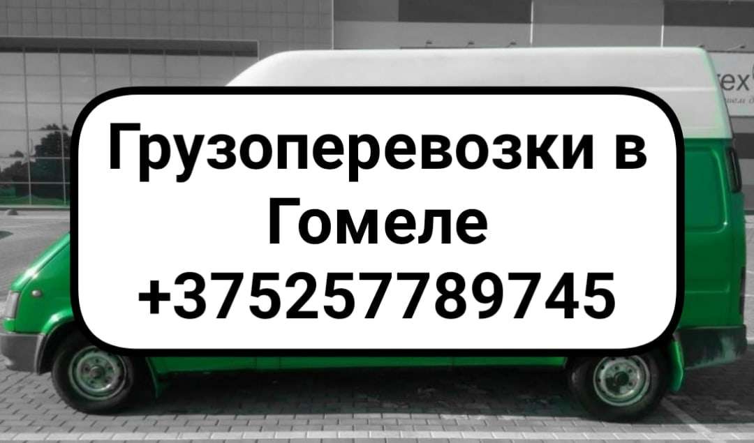 Грузоперевозки гомель. Транспортная компания Гомель. Грузоперевозки Гомель цены недорого.